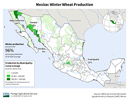 images\MX\seasonalmap\Mexico_Winter_Wheat_preview.png